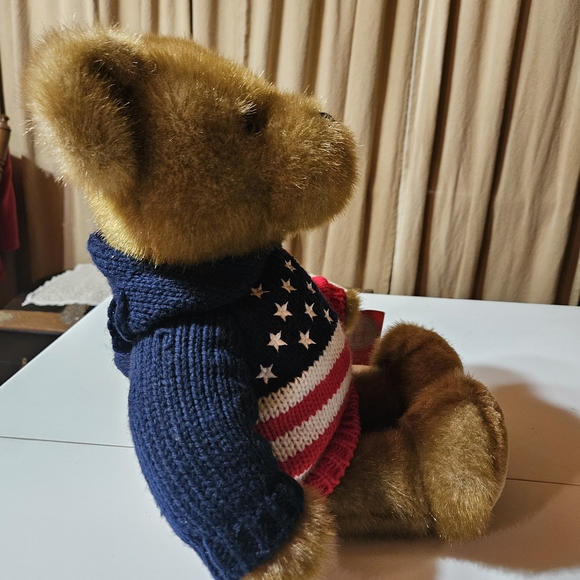 Patriotic Teddy Bear with Flag Sweater - Picture 4 of 12